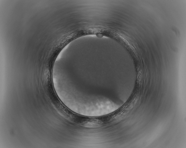 X0000112910459200909211034