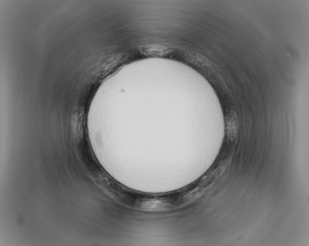 X0000112910460200909211035