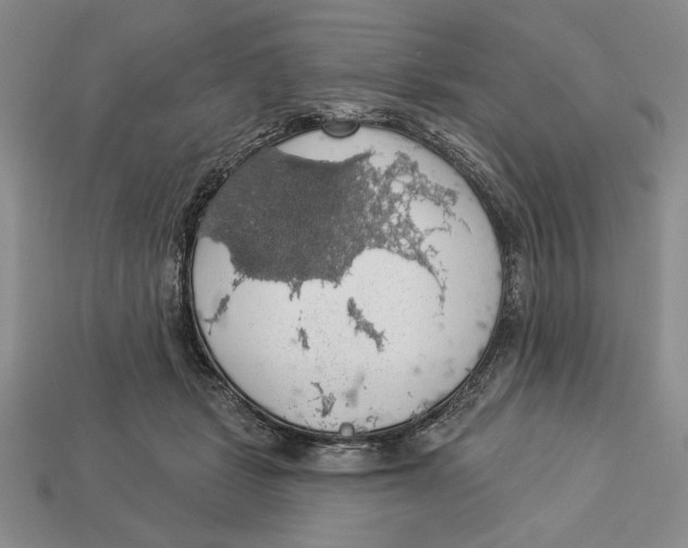X0000112910461200909211035