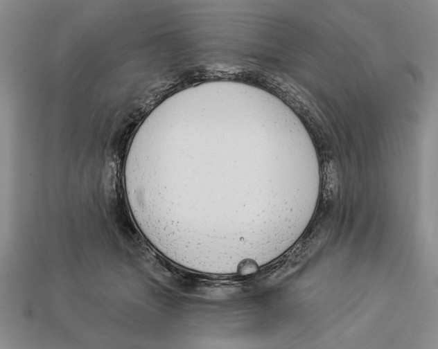X0000112910463200909211035