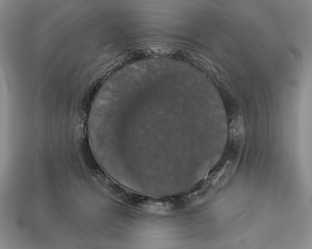 X0000112910464200909211035
