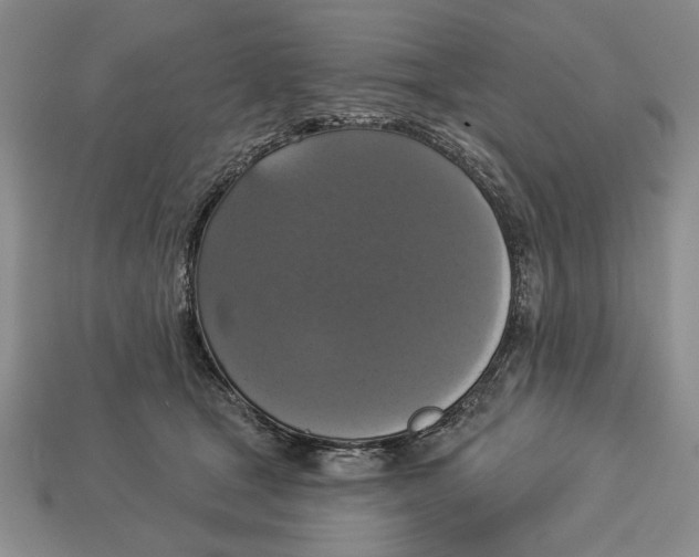 X0000112910465200909211035