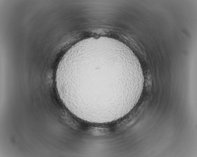 X0000112910466200909211035