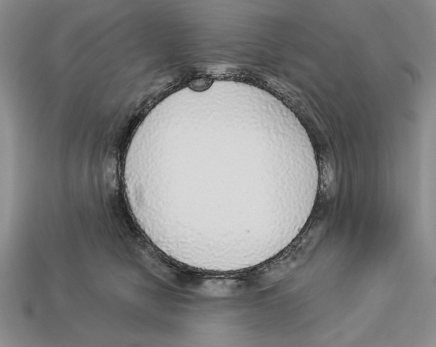 X0000112910470200909211035