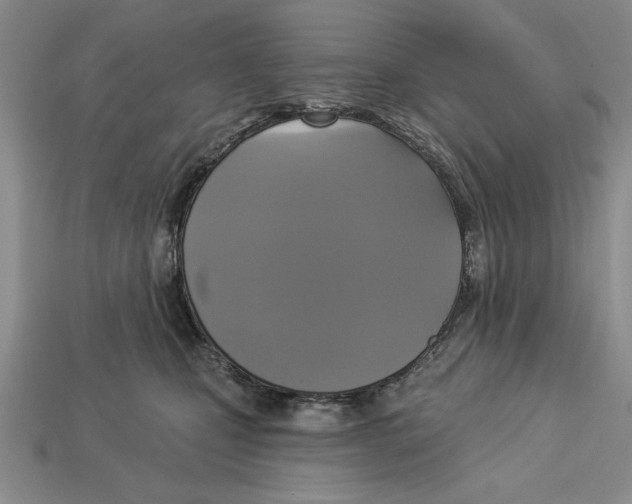 X0000112910471200909211035