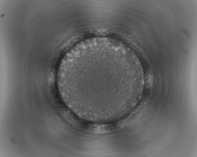 X0000112910472200909211035