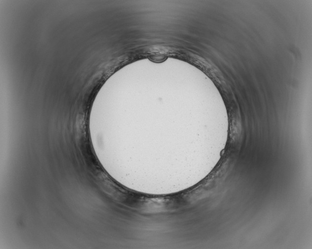 X0000112910473200909211035