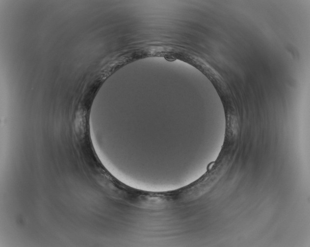 X0000112910475200909211035