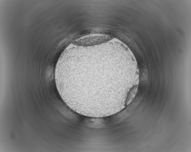 X0000112910478200909211035