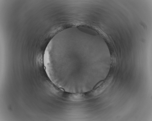 X0000112910479200909211035