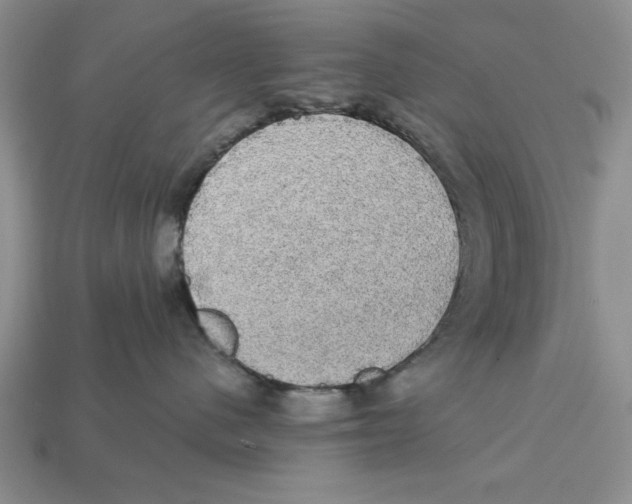 X0000112910480200909211035