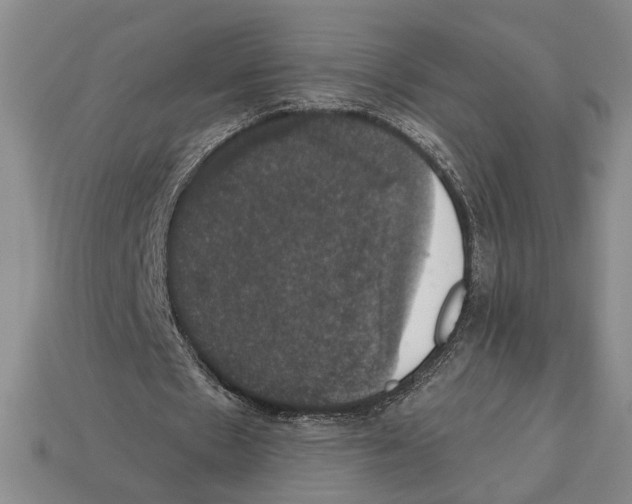 X0000112910481200909211034