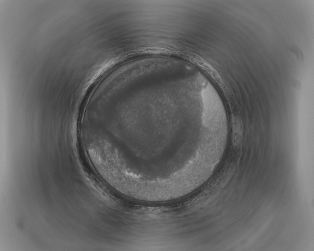 X0000112910482200909211034
