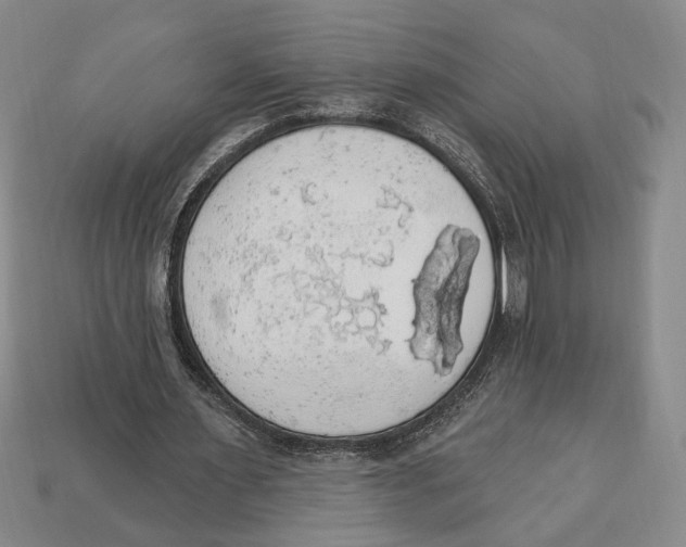 X0000112910483200909211034
