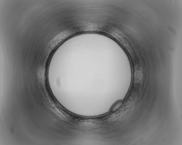 X0000112910485200909211034
