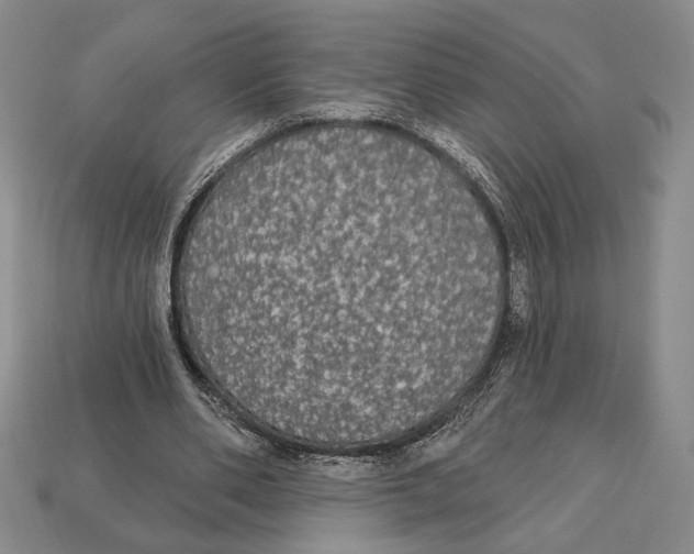 X0000112910486200909211034