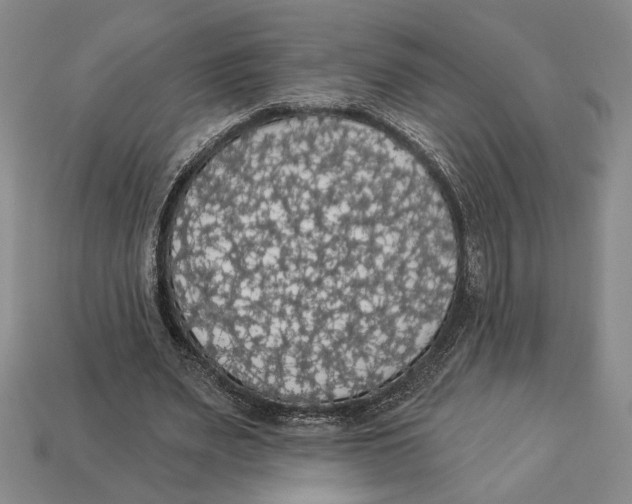 X0000112910487200909211034