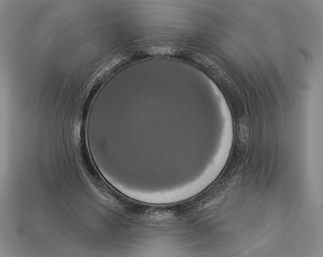 X0000112910491200909211034