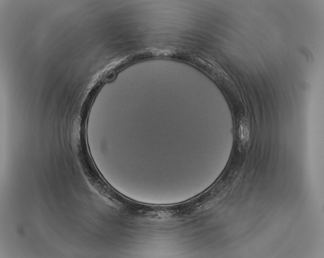X0000112910492200909211034