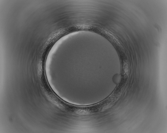 X0000112910494200909211034
