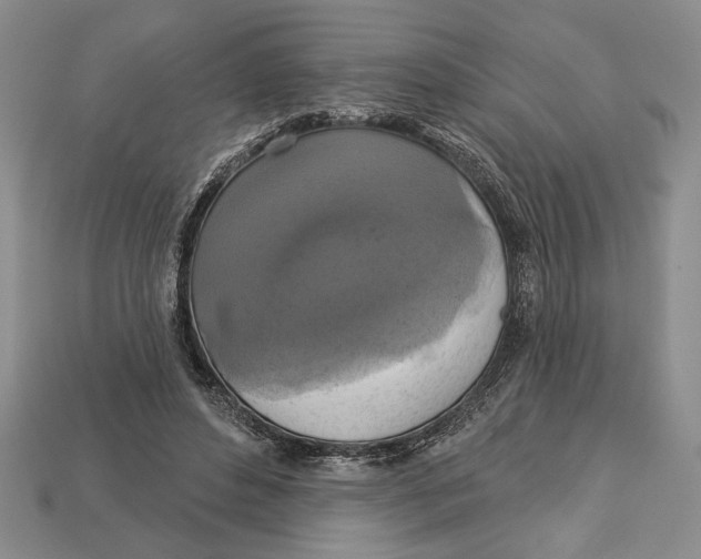 X0000112910496200909211034