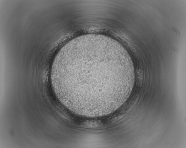 X0000112910499200909211034