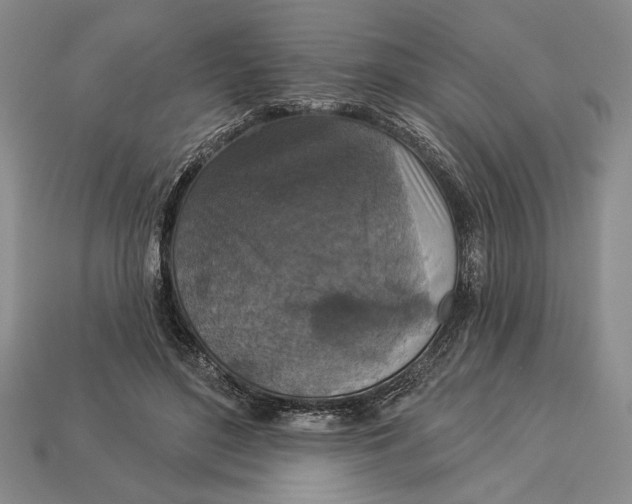 X0000112910500200909211034
