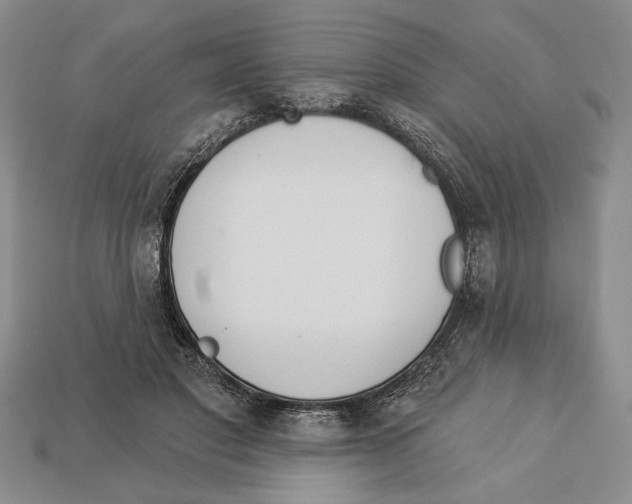 X0000112910501200909211034