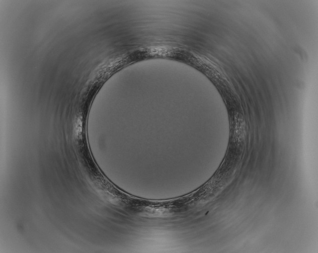 X0000112910502200909211034