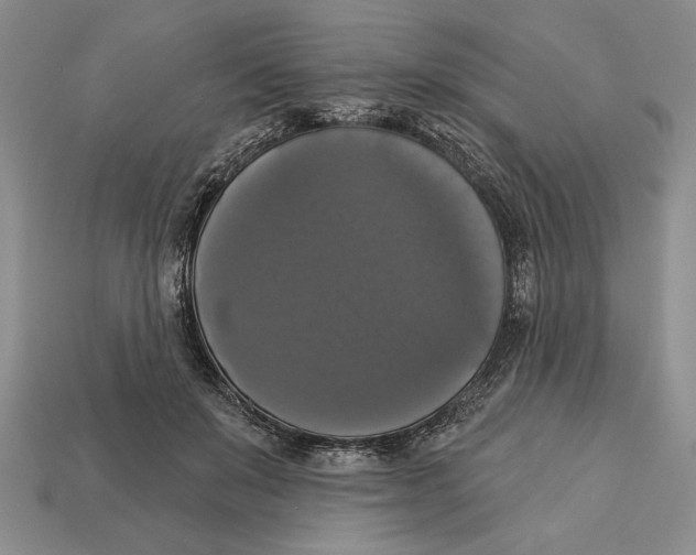 X0000112910503200909211034
