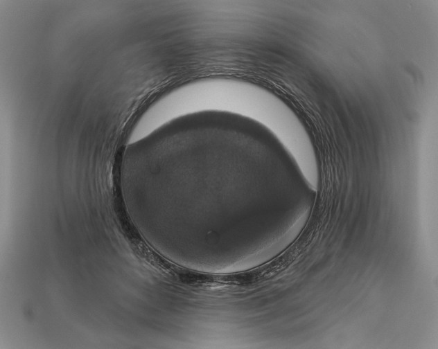 X0000112910504200909211034