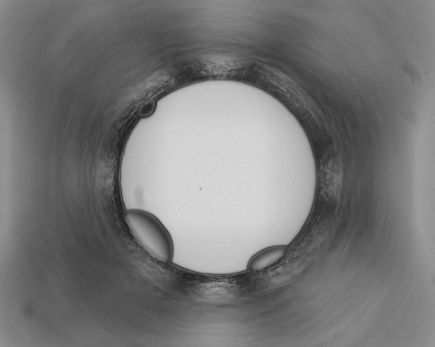X0000112910505200909211034