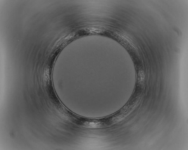 X0000112910506200909211034