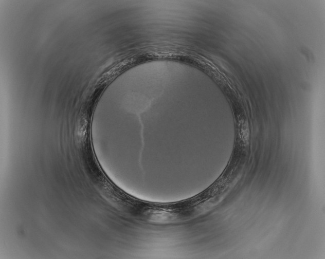 X0000112910507200909211034