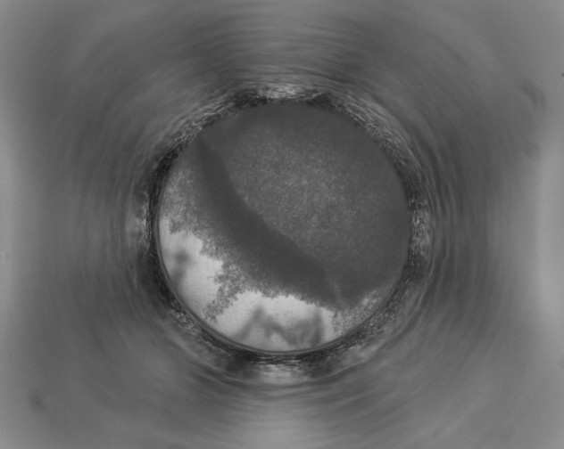 X0000112910510200909211034