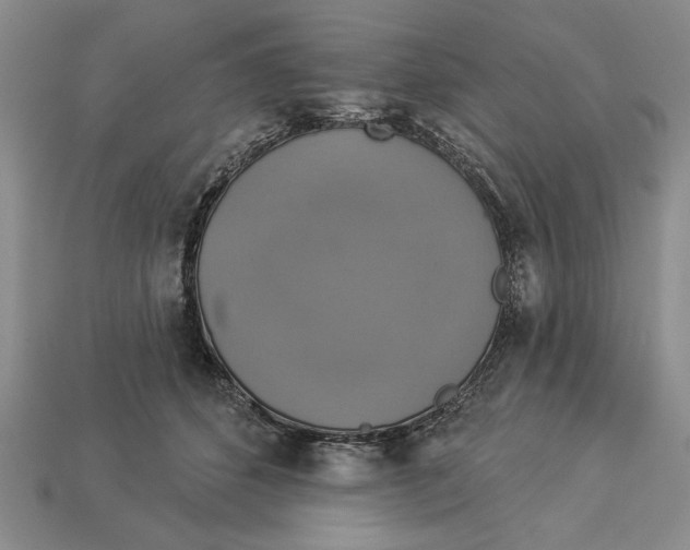 X0000112910512200909211034