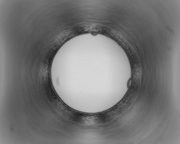 X0000112910513200909211034