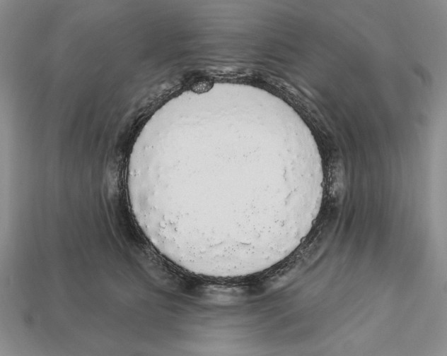 X0000112910515200909211034