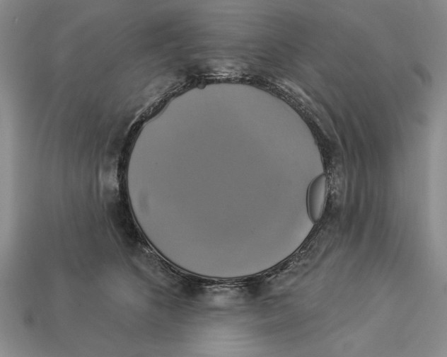 X0000112910516200909211034