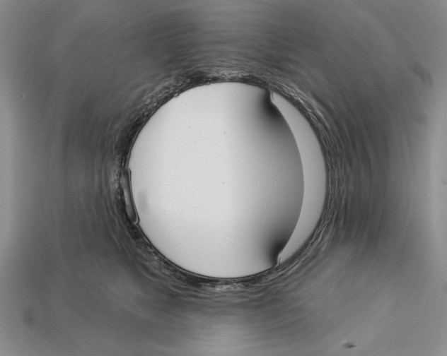 X0000112910517200909211034