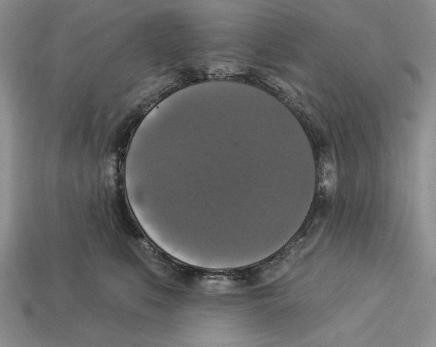 X0000112910519200909211034