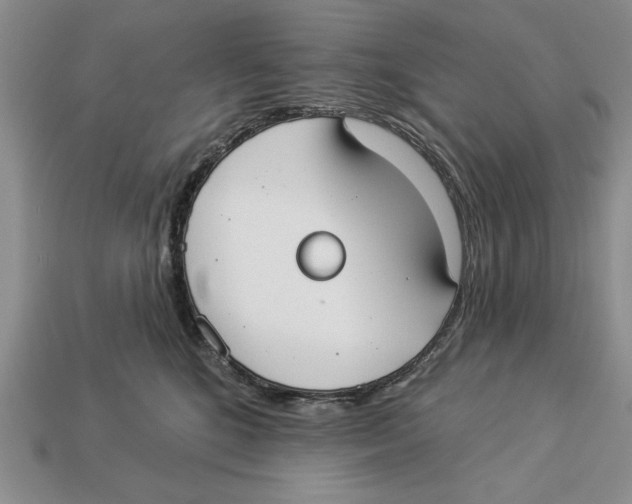 X0000112910520200909211034
