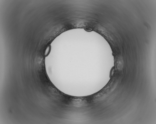 X0000112910521200909211034