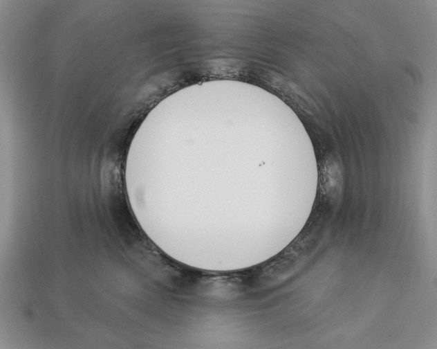 X0000112910522200909211034