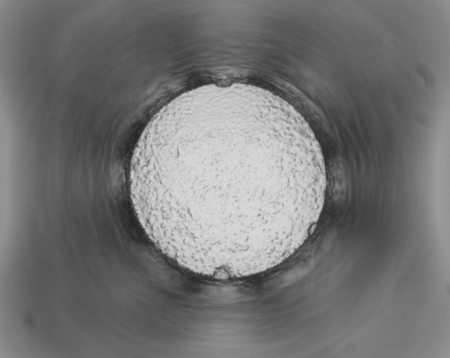 X0000112910523200909211034