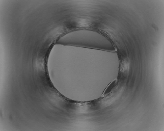 X0000112910524200909211034
