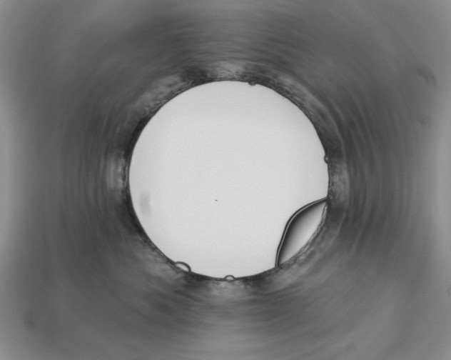 X0000112910525200909211034