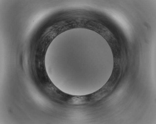 X0000112910526200909211034