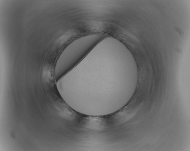X0000112910528200909211034