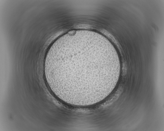 X0000112910529200909211033